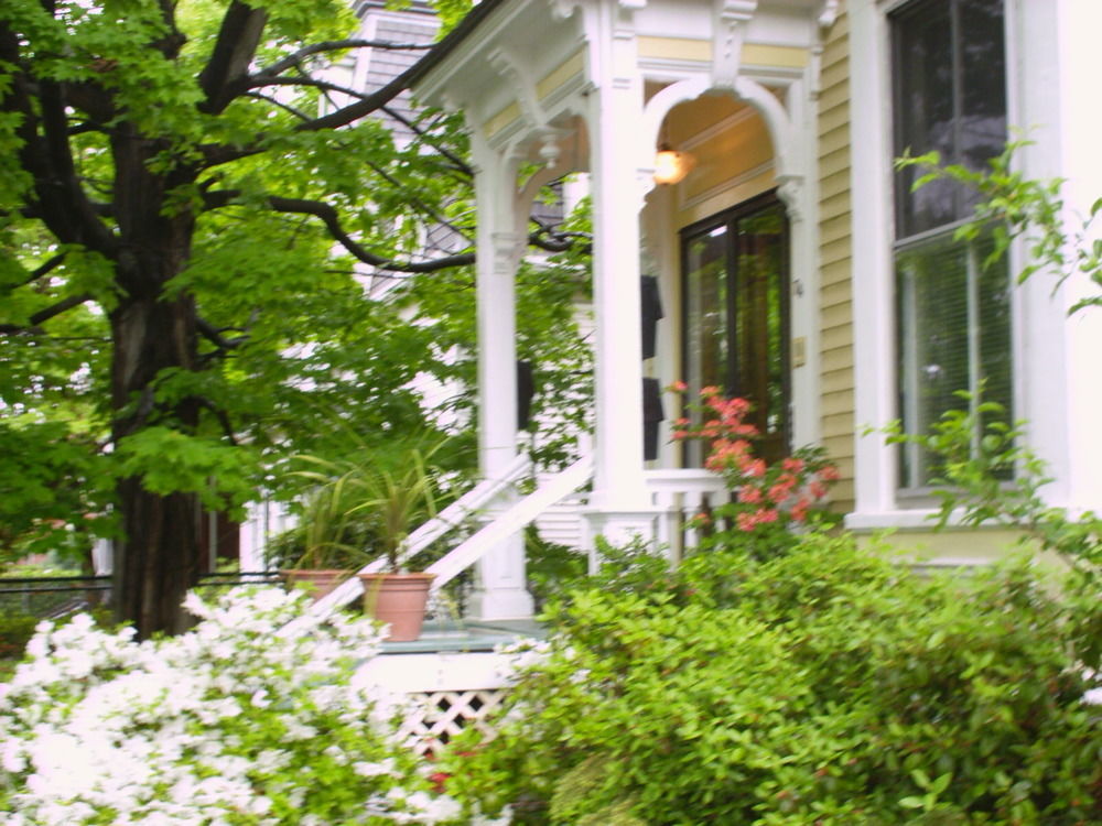 Parkside On Ellery Hotel Cambridge Exterior foto