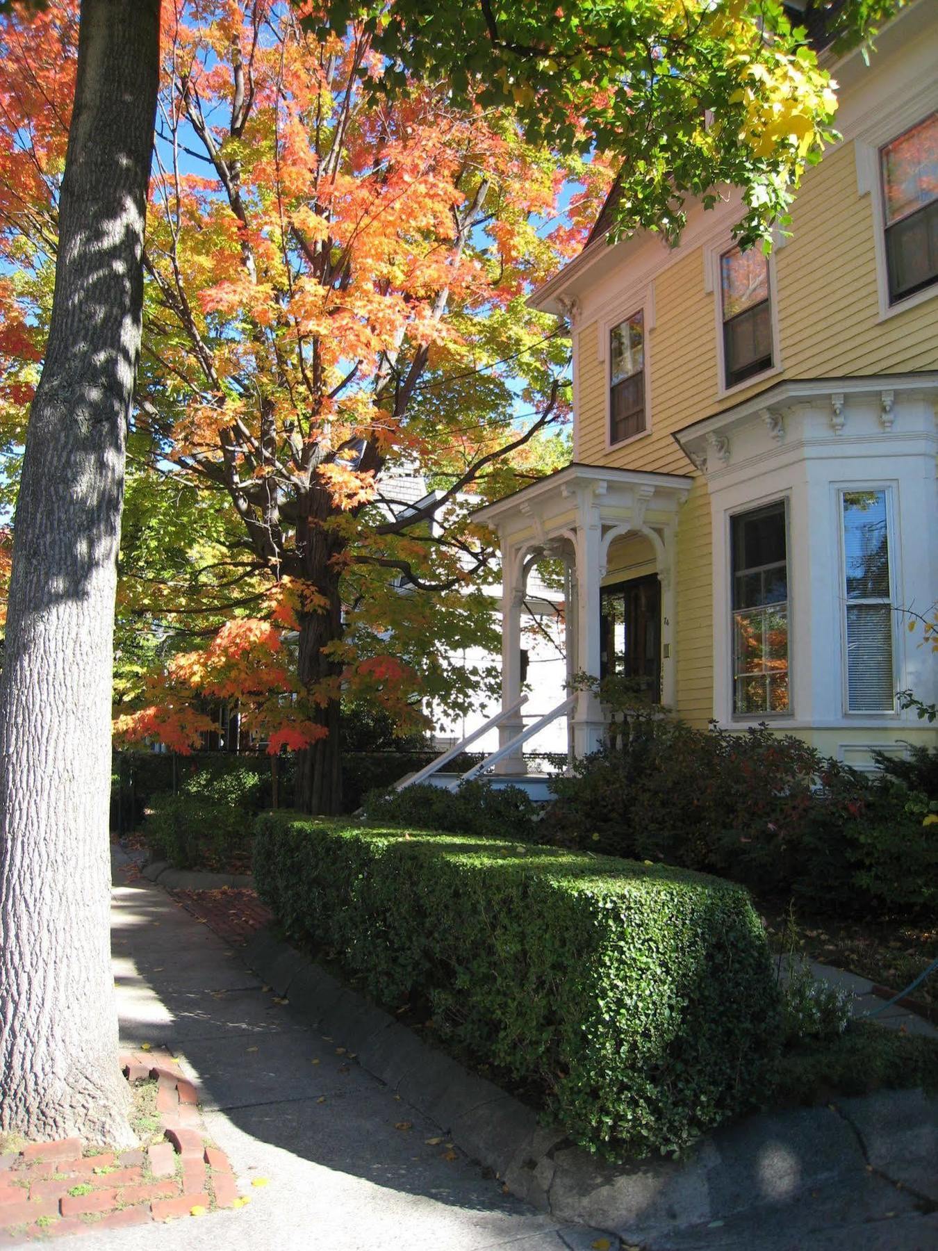 Parkside On Ellery Hotel Cambridge Exterior foto